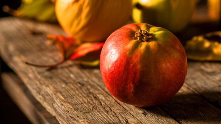 Illustration d'un fruit d'automne bénéfique pour la régénération du foie (généré par IA). Credit: Ideogram.